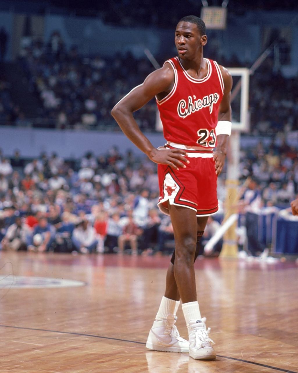 他惯用的拉 他惯用的拉