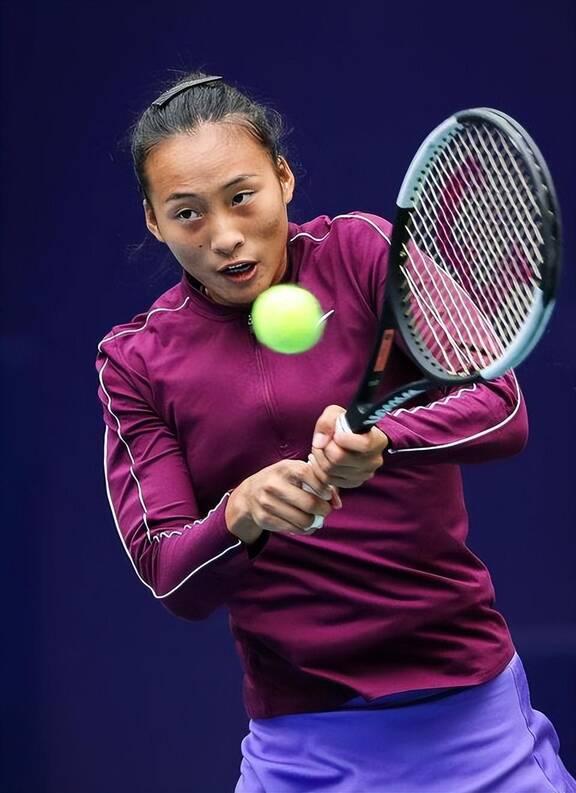 家队的领军 家队的领军